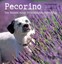 Pecorino von Toni Anzenberger (Buch) NEU