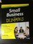 Small Business for Dummies by Veechi Curtis (Paperback, 2013)