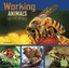 Working Animals of the World (All About Animals) - Library Binding NEW Tammy Gag