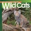 Welcome Wild Cats (Wonderful W by Diane Swanson (Paperback, 2010)