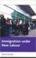 Immigration Under New Labour, New, Will Somerville Book