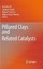 Pillared Clays and Related Catalysts by Springer-Verlag New York Inc....