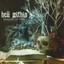 Hell Within-Shadows of Vanity (US IMPORT) CD NEW