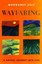 Wayfaring: A Gospel Journey into Life by Margaret Silf.