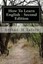 NEW How To Learn English - Second Edition by... BOOK (Paperback / softback)