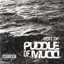 Puddle of Mudd - Icon