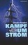 Kampf um Strom Claudia Kemfert