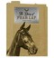 NEW The Diary of Phar Lap by Robert J . Baker