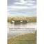 Indo-Caribbean Indenture: Resistance And Accommodation, - Paperback NEW Lamarsh