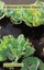 NEW A Manual Of Water Plants by W Vivian de Thabrew BOOK (Hardback) Free P&H