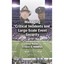 Managing Critical Incidents and Large-scale Event Security Nuñez, Eloy/ Vendrell