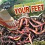 NEW Gross Things Under Your Feet (That's Gross!) by Greg Roza