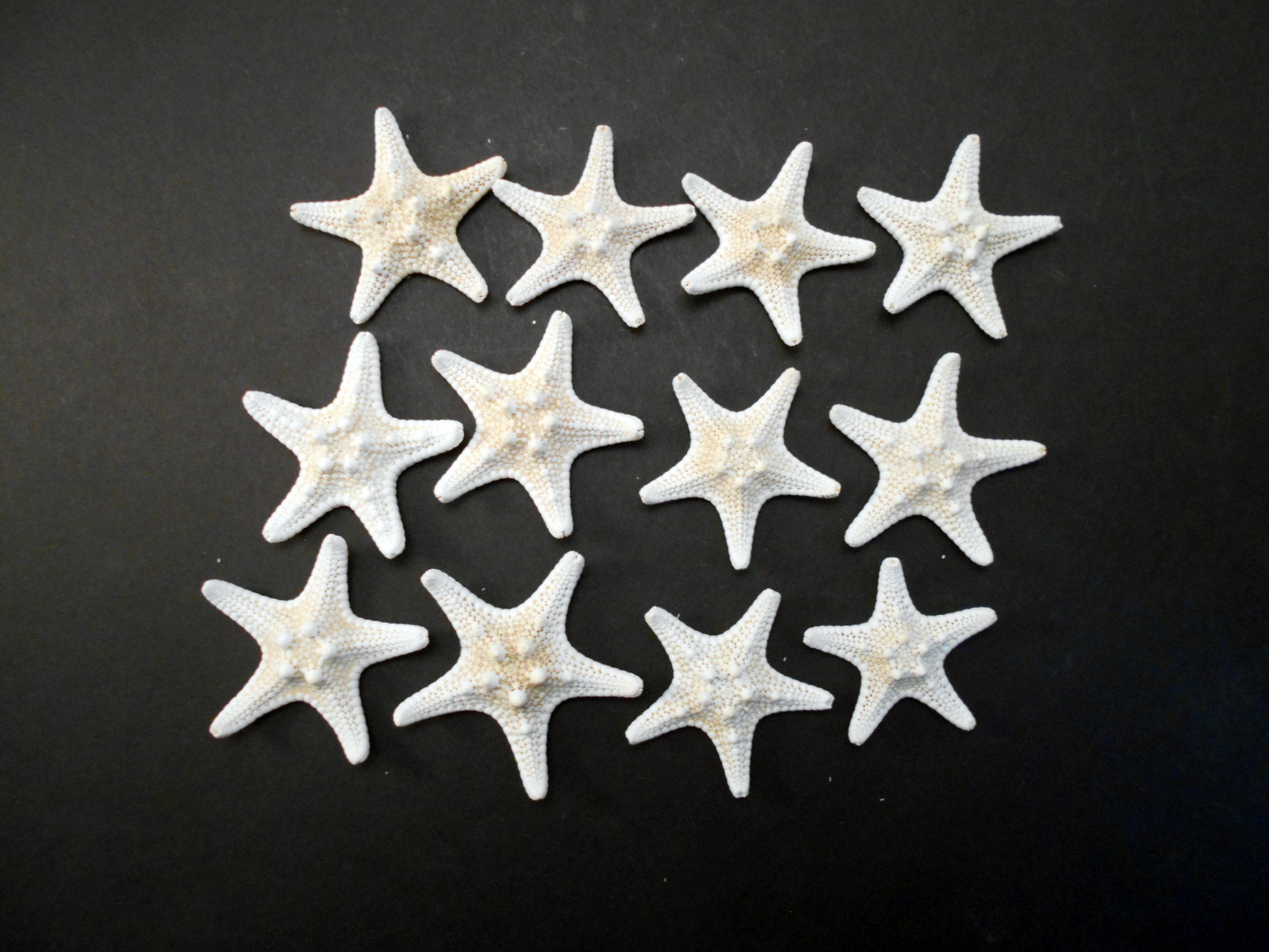 12 Small By White Starfish 1 2 Beach Cottage Wedding Decor Picture 1 Of 6