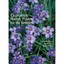 California Native Plants for the Garden - Paperback NEW Bornstein, Caro 2006-01