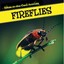 Fireflies (Glow-In-The-Dark Animals) - Paperback NEW Sara Howell (Au 2015-01