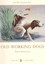 Old Working Dogs by David Hancock (Paperback, 1998)