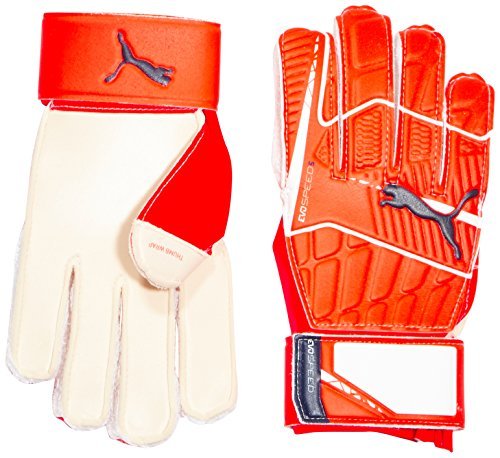 guanti da portiere puma evospeed guanti da portiere puma evospeed