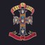 GUNS N' ROSES - APPETITE FOR DESTRUCTION