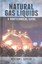 Natural Gas Liquids A Nontechnical Guide by William L. Leffler 9781593703240
