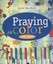 Praying in Color by Sybil MacBeth (Paperback, 2009)