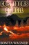NEW Corridors Of Hell by Bonita Wagner BOOK (Paperback / softback) Free P&H