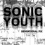 "Sonic Youth" Etc.: Sensational Fix by Elein Fleiss.