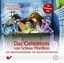 Die Rothstein-Kids, Das Geheimnis von Schloss Morillion, Audio-CD (Hörbuch) NEU