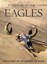 History Of The Eagles (2013, DVD NEW)