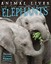 Elephants (Animal Lives) - Library Binding NEW Sally Morgan (A 2015-08