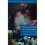 Spirits and Slaves in Central Sudan: The Red Wind of Sennar Kenyon, Susan/ Kenyo