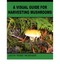 A Visual Guide for Harvesting Mushrooms by Leota McKenzie