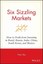 Six Sizzling Markets: How to Profit From Investing in Brazil, Russia, India, Chi
