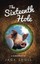 NEW The Sixteenth Hole by Jack Sholl BOOK (Hardback) Free P&H