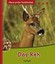 Meine große Tierbibliothek: Das Reh