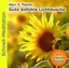 DIV MEDITATION - Schnellmeditation: Gute Gefühle Lichtdusche (Audio-CD)