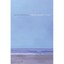 Traveler: Poems - Paperback NEW Devin Johnston 2012-10-13