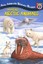 Amazing Arctic Animals by Jackie Glassman (Paperback, 2002)