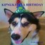 Kipnuk Has a Birthday by Wolf, Heather -Paperback