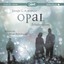 Jennifer L. Armentrout - Opal. Schattenglanz