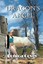 Dragon's Angel by Covey, Donica -Paperback