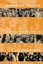 Forging Gay Identities: Organizing Sexuality in San Fra - Paperback NEW Elizabet