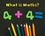 What is Maths? by Tracey Steffora (Paperback, 2012)