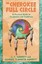 The Cherokee Full Circle: A Practical Guide to Ceremonies and Traditions by...