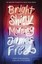Bright Shiny Morning: A rip-roaring ride through L.A from the author of My