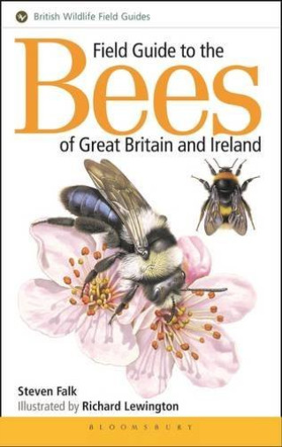 Field Guide to The Bees of Great Britain and Ireland Paperback ... Field Guide to The Bees of Great Britain and Ireland Paperback ...