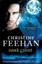 Dark Ghost ('Dark' Carpathian) by Christine Feehan.