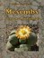 Hecktheuer, Achim: Mesembs - mehr als nur Lithops