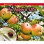 An Apple's Life (Watch It Grow (Heinemann Paperback)) - Paperback NEW Nancy Dick