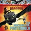 Dragons. Das Drachenreiter-Posterbuch, Buch