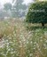 NEW Gardens of Arne Maynard By ATKINS ROSIE Hardcover Free Shipping